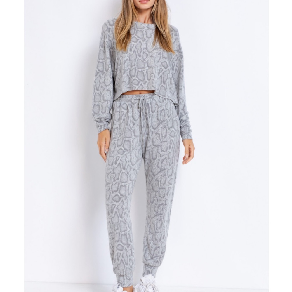 Cropped  Pullover Top & Jogger Set (UNWORN)